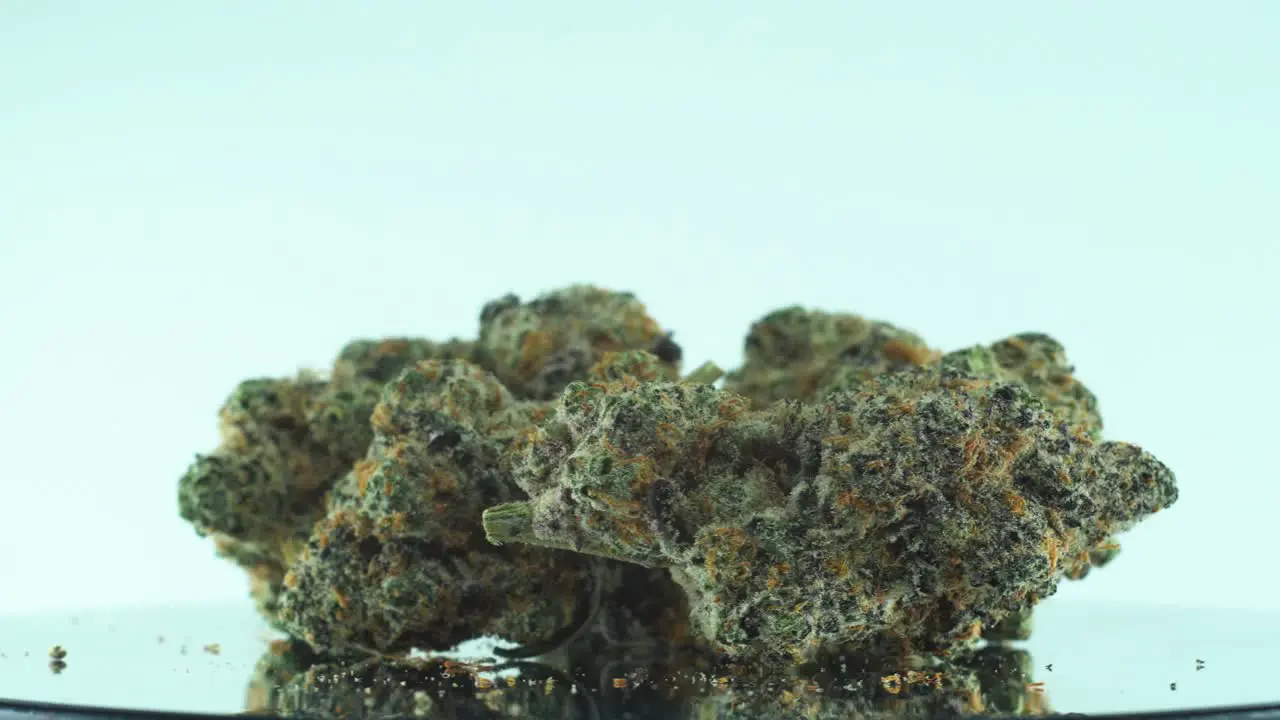 Close up shot of a Marijuana sativa Super Lemon Haze flowers yellow green and purple on a reflecting 360 rotating stand Slow motion 4K video