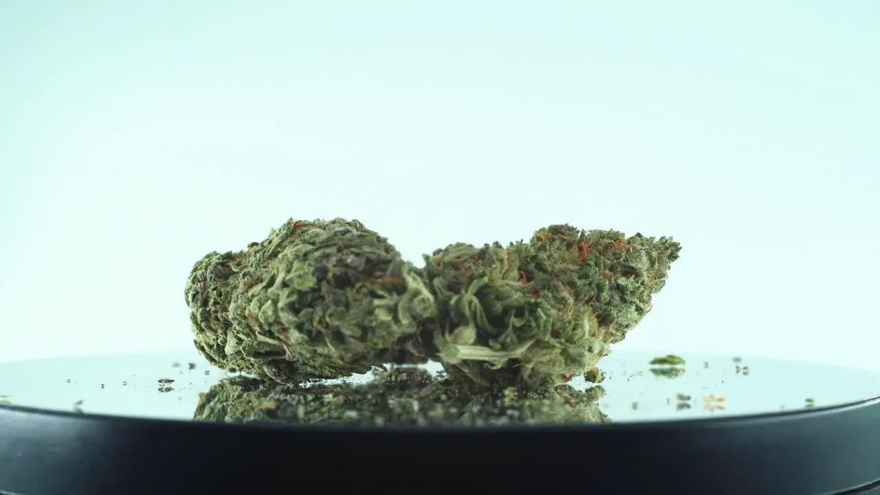 Close up shot of a Marijuana sativa Super Lemon Haze flower green weed purple Kush on a reflecting 360 rotating stand Slow motion 4K video