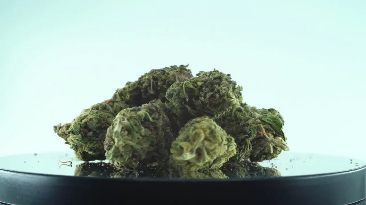 Close up shot of a Marijuana sativa Super Lemon Haze flowers green weed purple Kush on a reflecting 360 rotating stand Slow motion 4K video