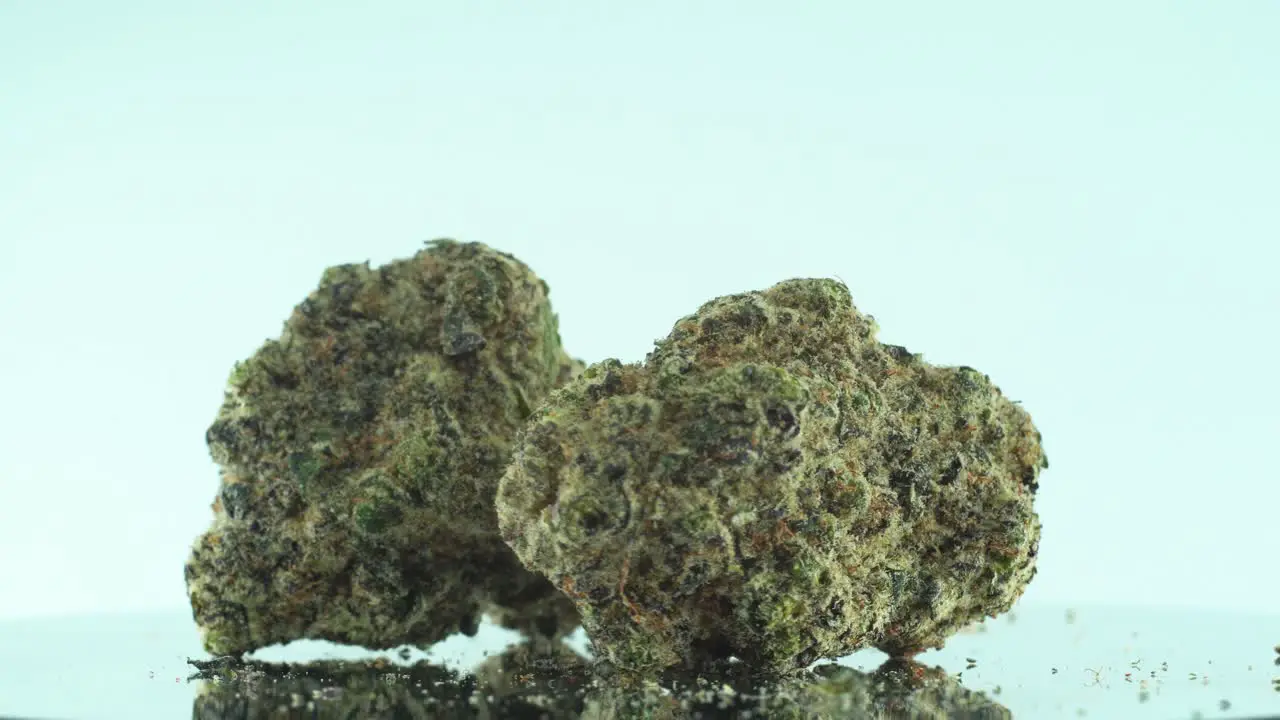 Close up shot of a Marijuana sativa Super Lemon Amnesia Haze rock flower yellow green and purple Kush on a reflecting 360 rotating stand Slow motion 4K video