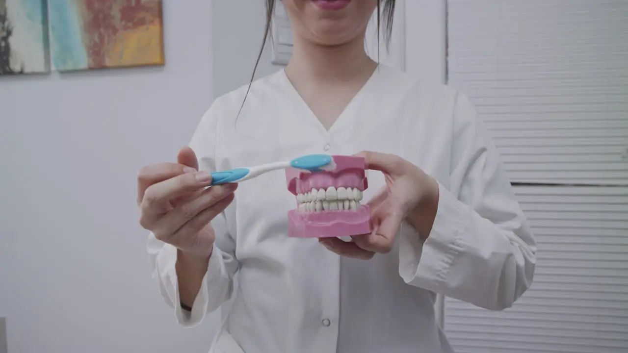 Doctor showing how to correctly brush teeth in a deantal model with a teeth brush