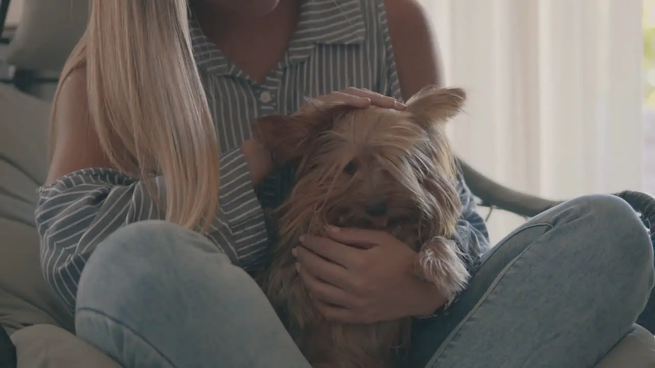 Female Petting Her Little Dog At Home