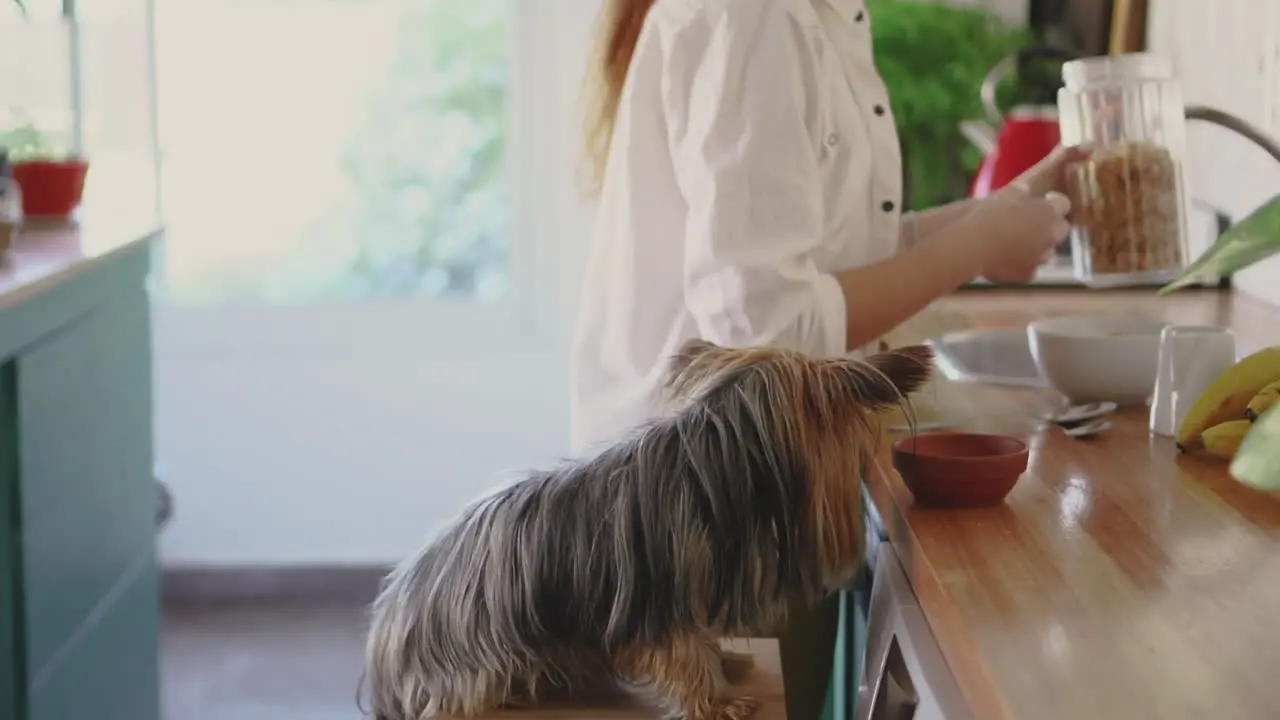 Young Woman And Her Little Dog In The Kitchen