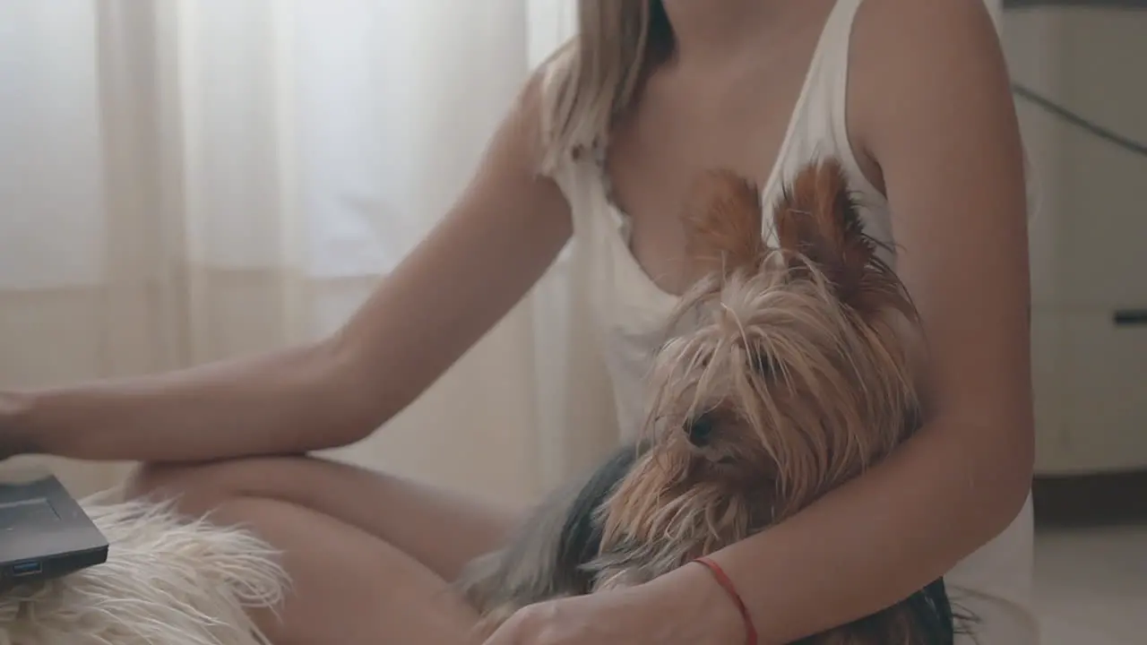 Young Woman With Her Little Dog And Using A Laptop At Home