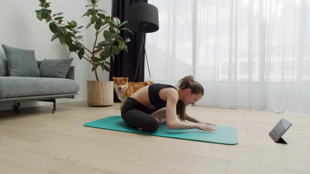 A Beautiful Young Woman Does Yoga At Home While Her Dog Keeps Circling Around Her