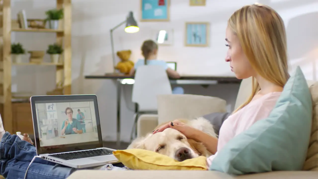 Serious Woman Sitting On Sofa And Petting Sick Golden Retriever Dog While Having Consultation With Online Vet Via Video Call On Laptop