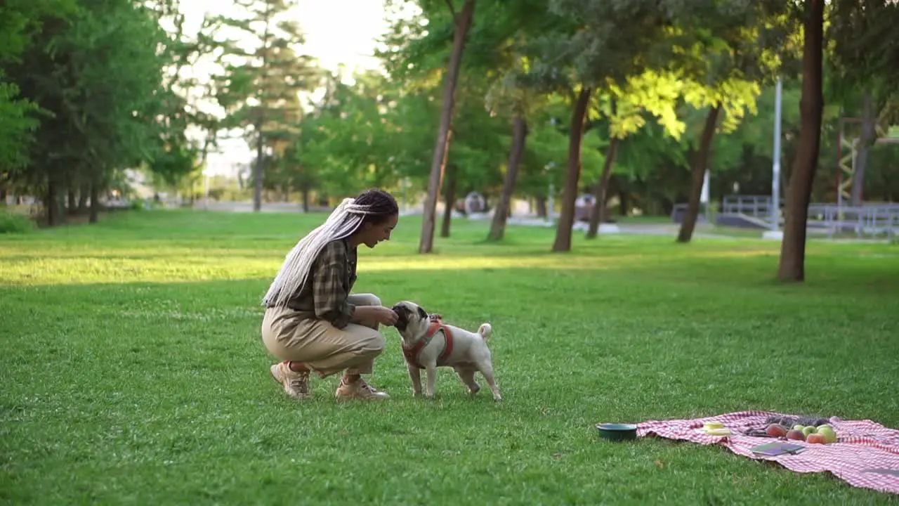 Owner Feeding Pet Outdoors Encouraging Smart Dog For Good Command Execution With Bone Dog Snack