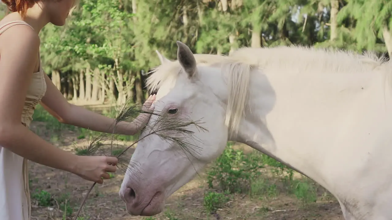 Young Woman Stroking A White Horse