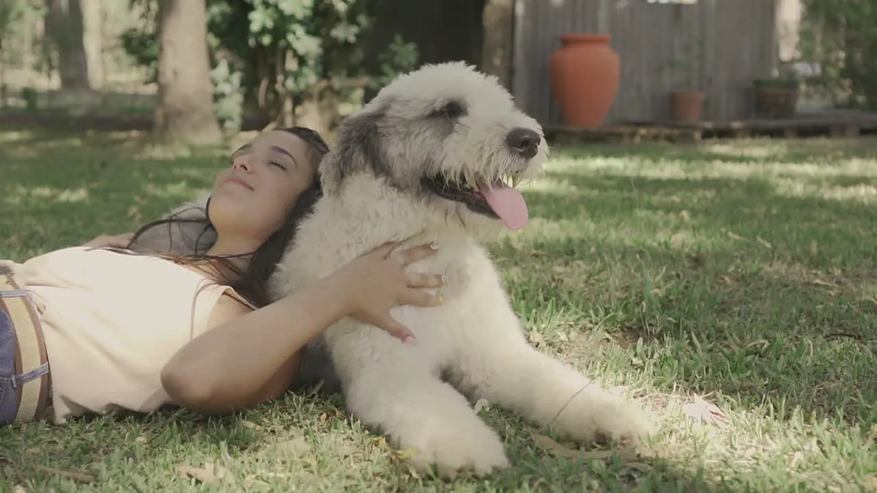 Young Woman Pets A Big Dog Lying On The Grass 1