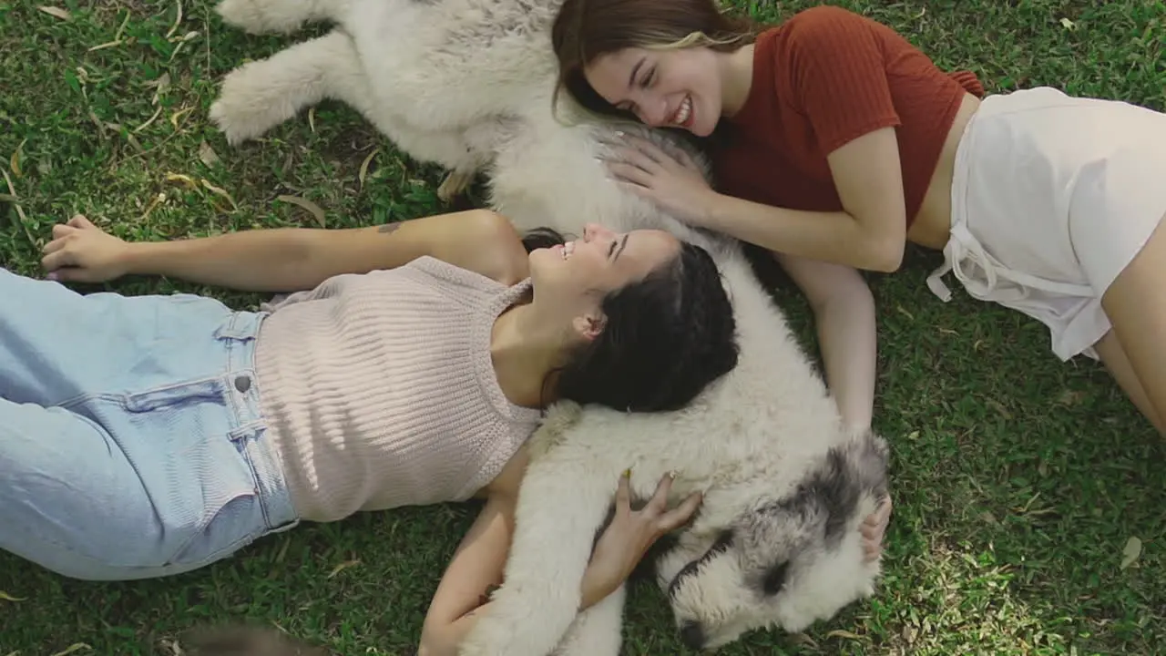 Young Women Pet A Big Dog Lying On The Grass 1