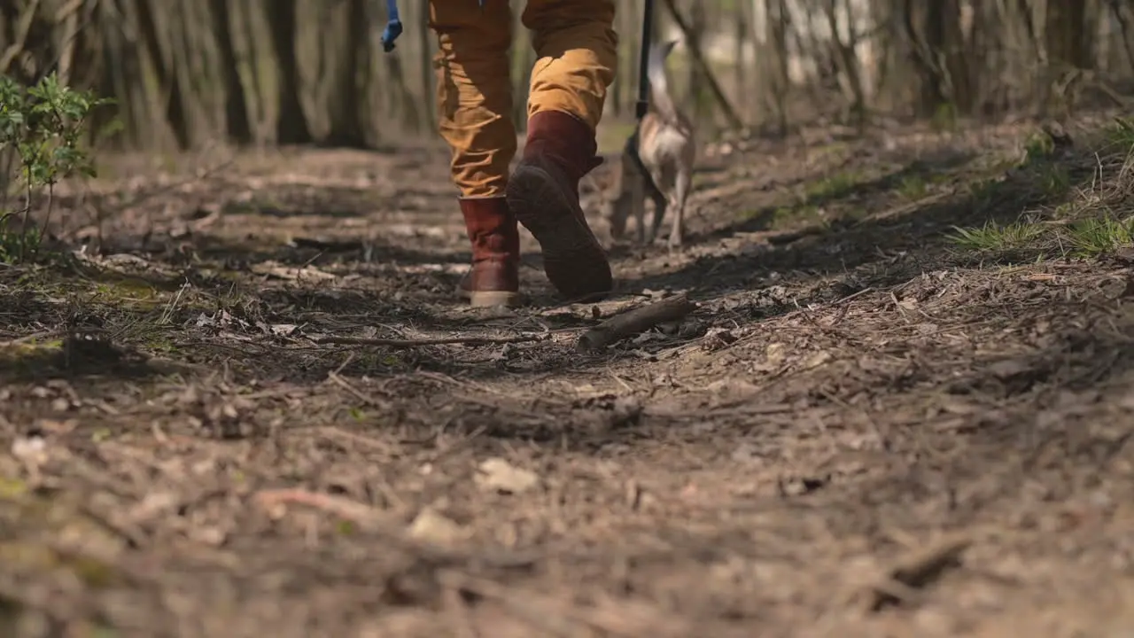 The Boots Of An Unrecognizable Person Walking Through The Forest With A Dog