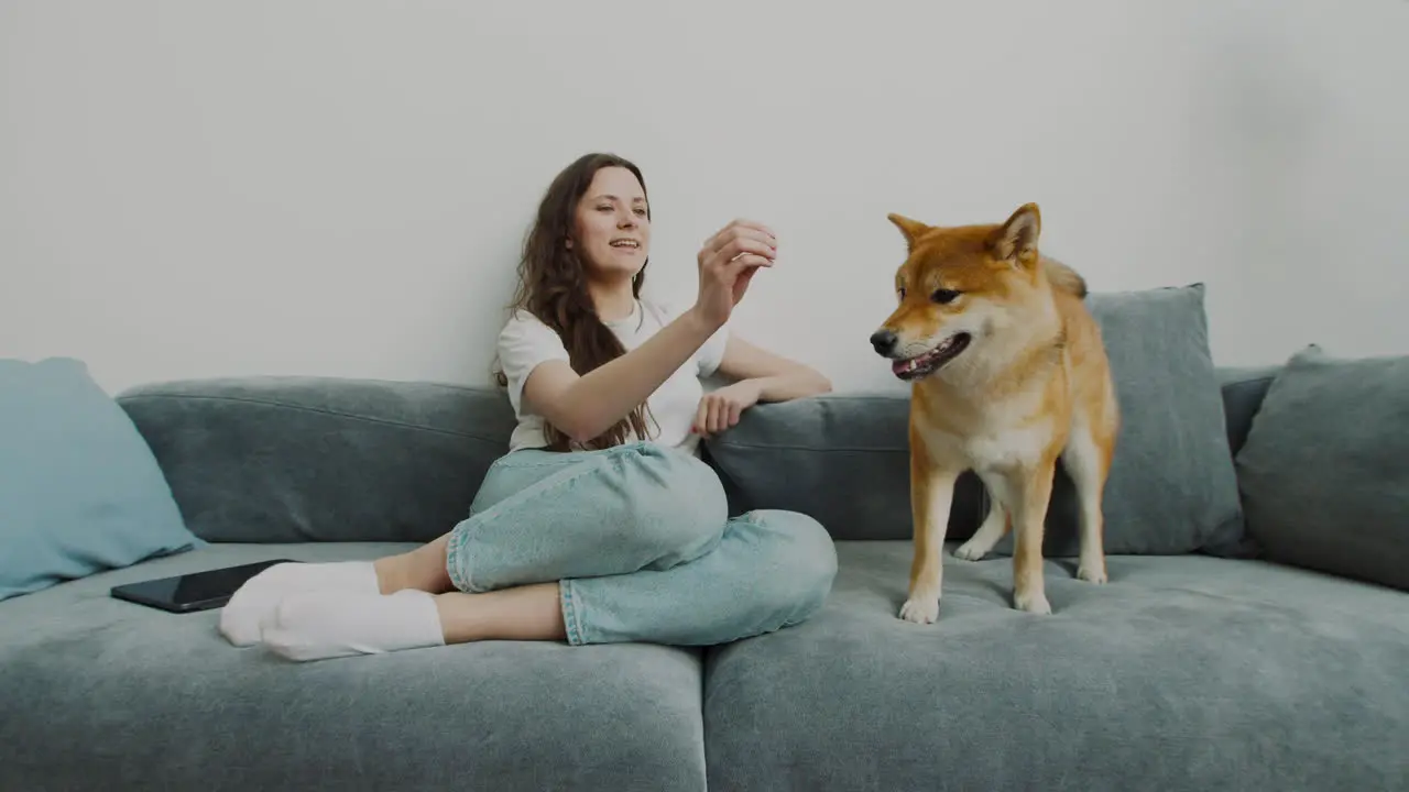 Pretty Girl Petting And Feeding Her Dog At Home 2