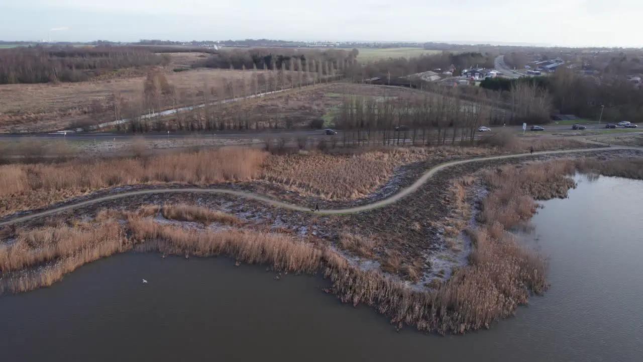 Drone Footage of a Shoreline with Reed and Cars on a Road Truck Shot