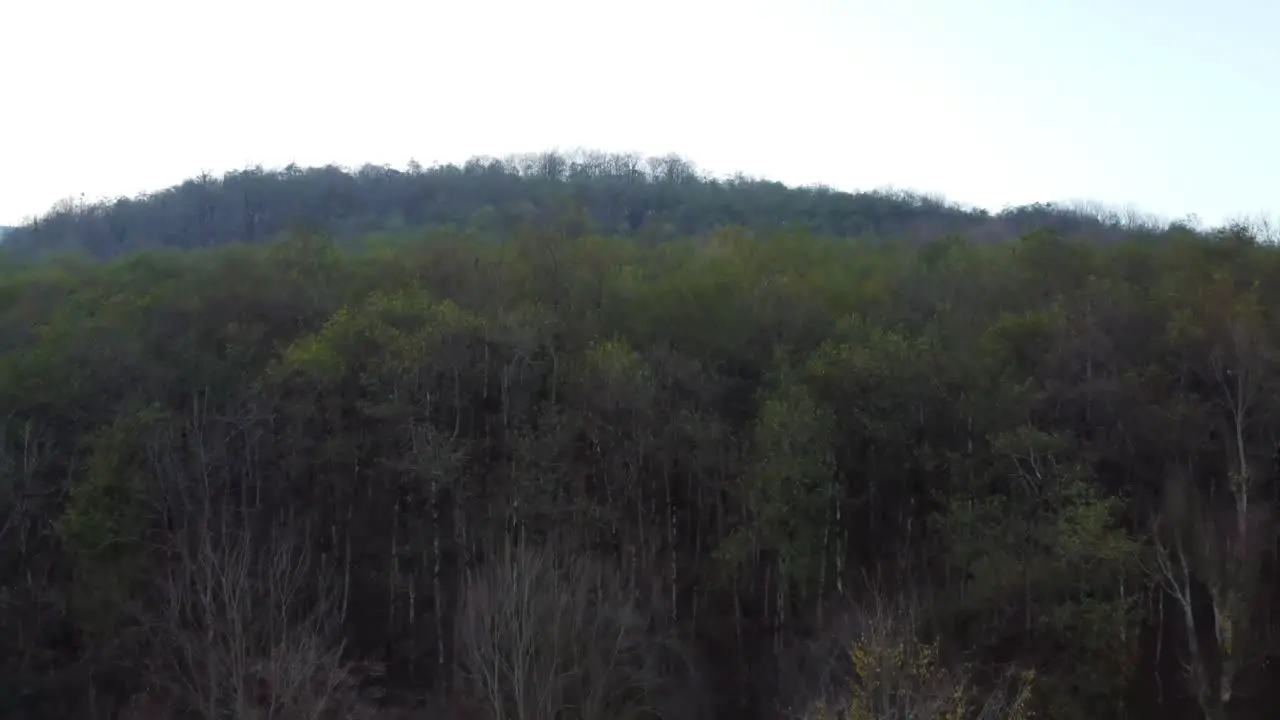 fly over a beautiful forest in fall season dark evening twilight time after sunset the village life nature mountain landscape green hills in Hyrcanian forest in Iran Azerbaijan border natural scenic