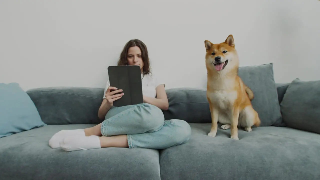 Young Woman Using Her Tablet At Home Next To Her Dog