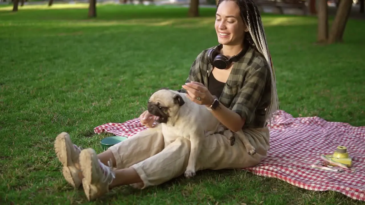 Attractive Woman Holds A Little Pug On Her Knees It Actively Whirls And Tries To Bite Gently