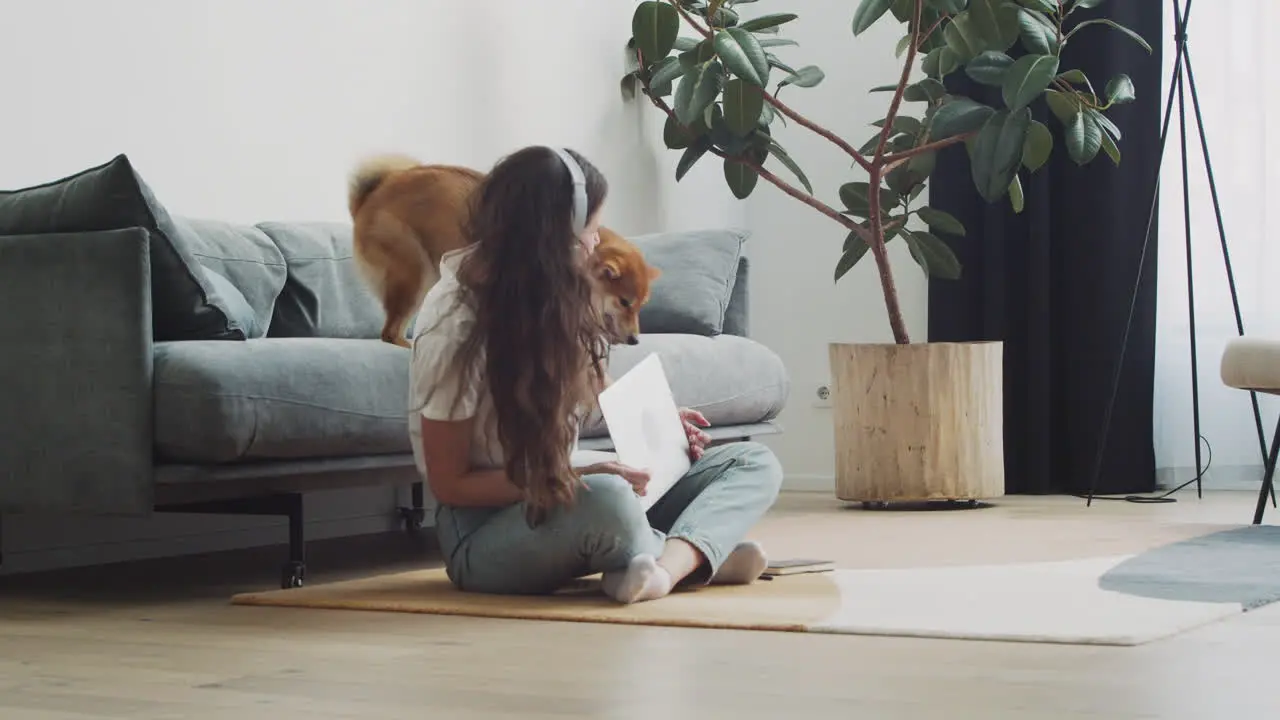 Cute Dog Climbs On Top Of The Sofa To Lick His Owner's Face And Play With Her Who Was Working On Her Computer At Home