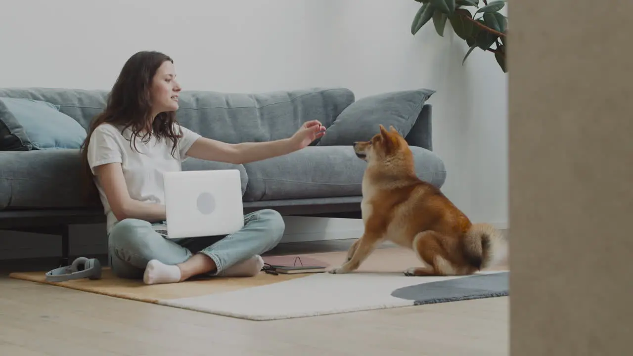 Cute Girl Feeds Her Dog While Working On Her Laptop At Home 1