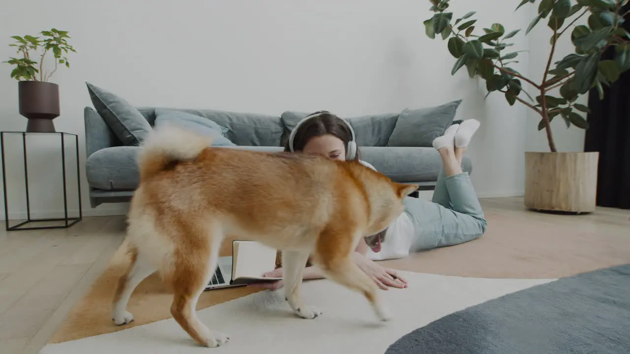 Cute Girl Plays With Her Dog While Working On Her Laptop At Home 1