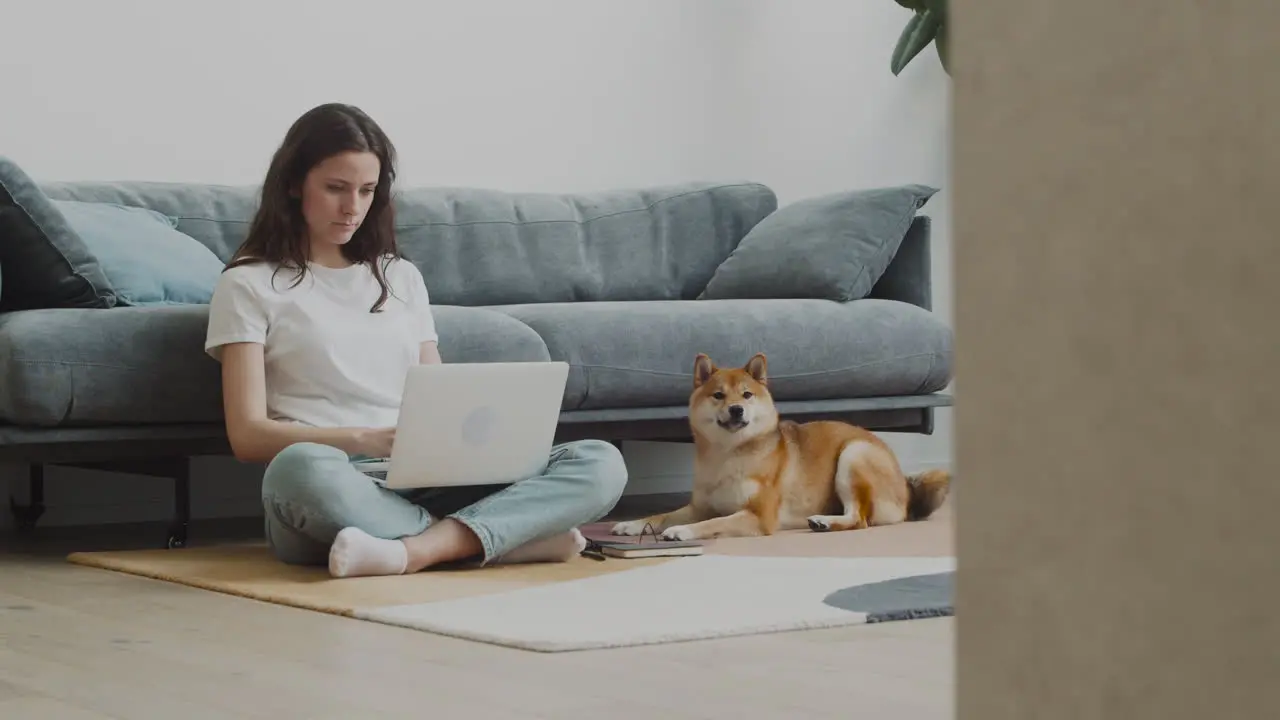 Beautiful Young Female Pets Her Cute Dog While Working On Her Laptop At Home