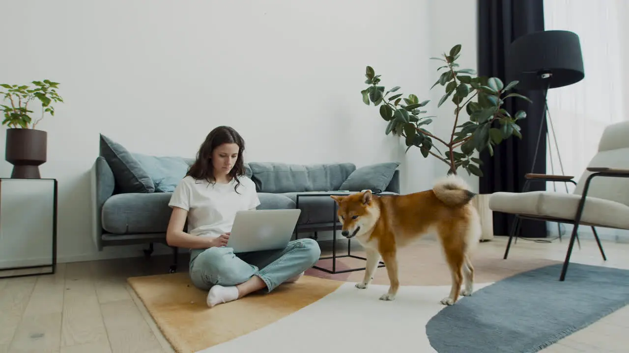 Cute Girl Feeds Her Dog While Working On Her Laptop At Home