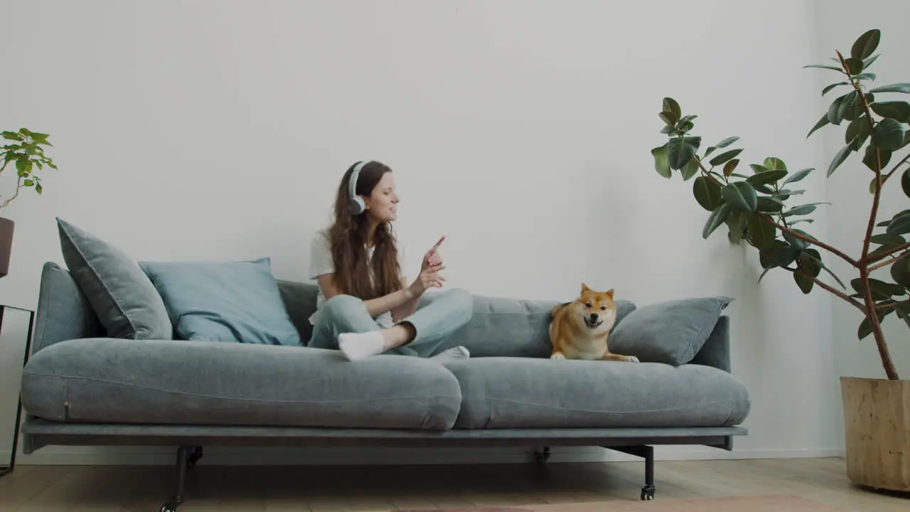 Girl Plays With Her Dog On The Sofa