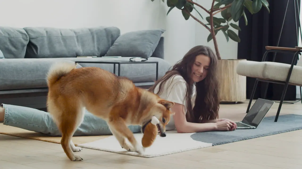 Cute Girl Plays With Her Dog While Working On Her Laptop At Home