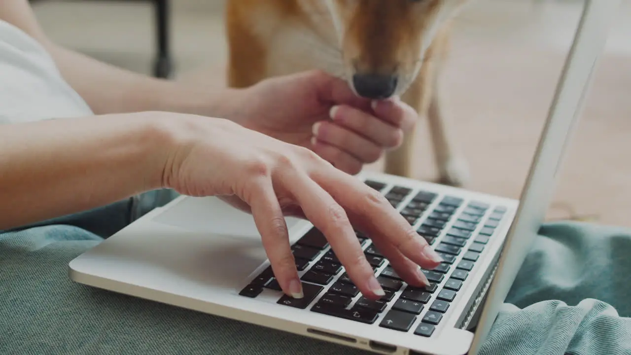 An Unrecognizable Woman's Hands Are Typing On A Computer Keyboard