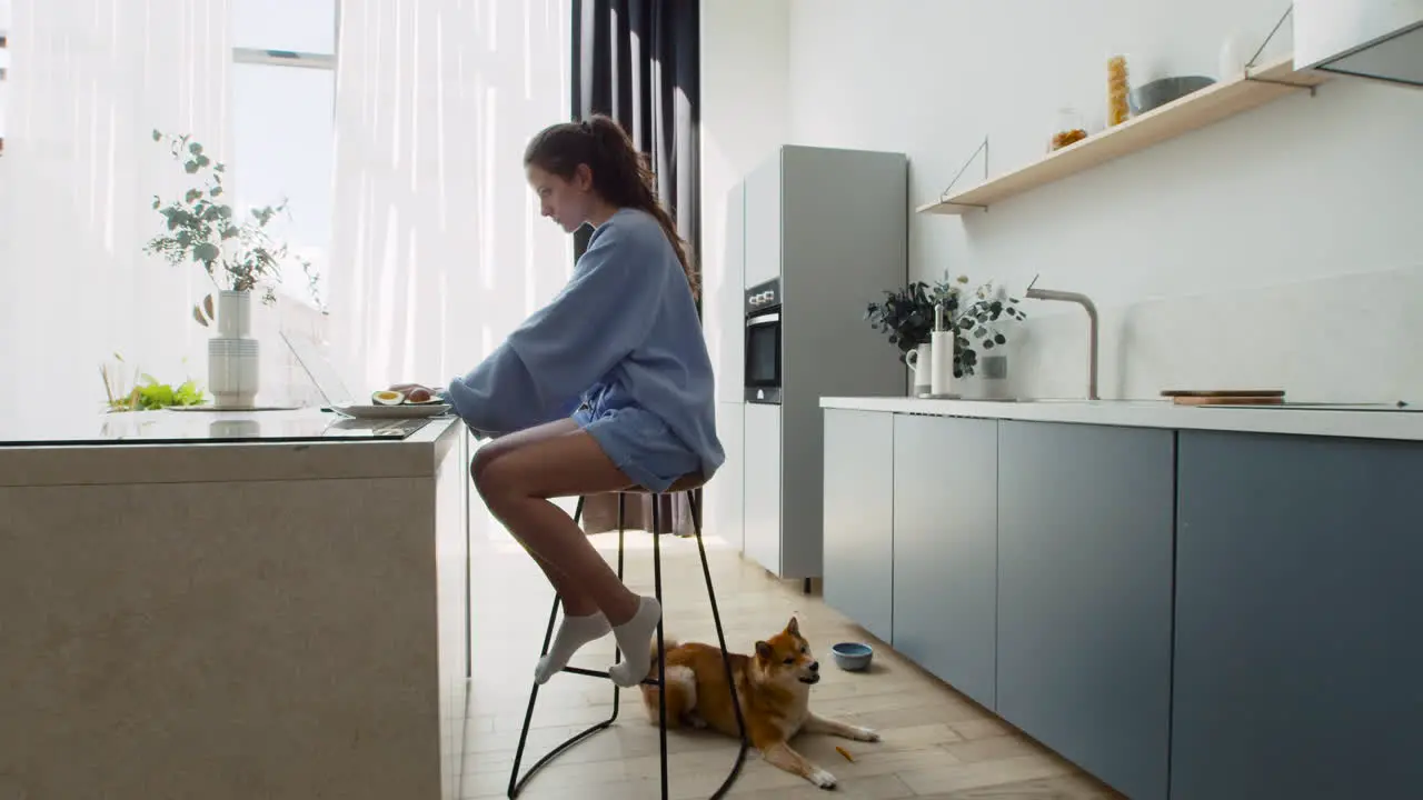 Young Woman Working On Her Laptop At Home Next To Her Dog 8