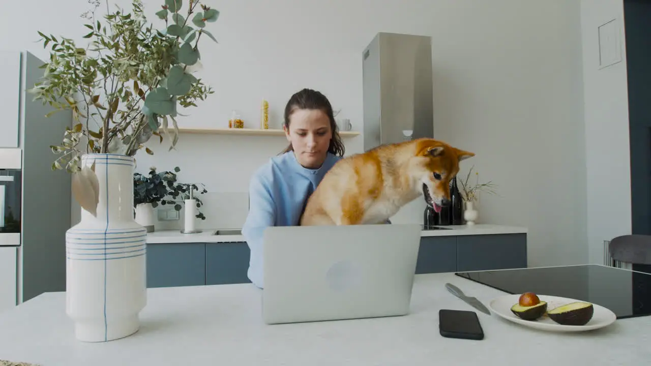 Young Female Working With Her Laptop While Holding On To Her Cute Dog