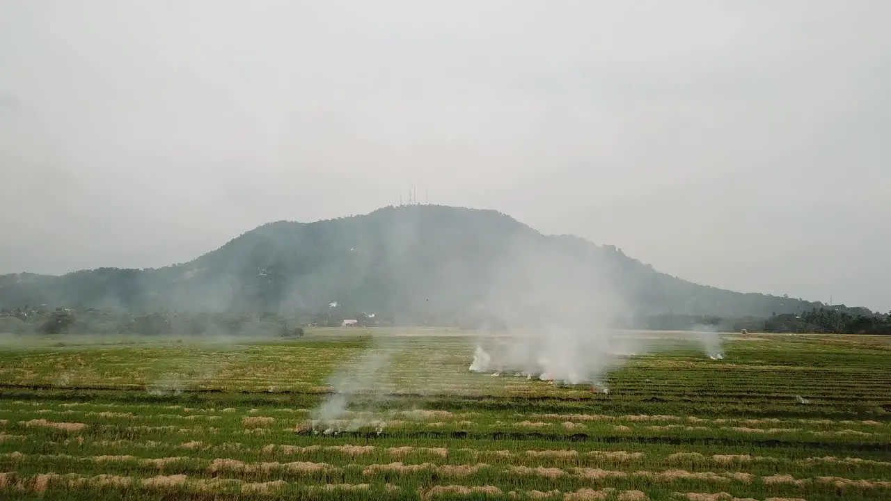 Global warning open fire at open rice paddy field