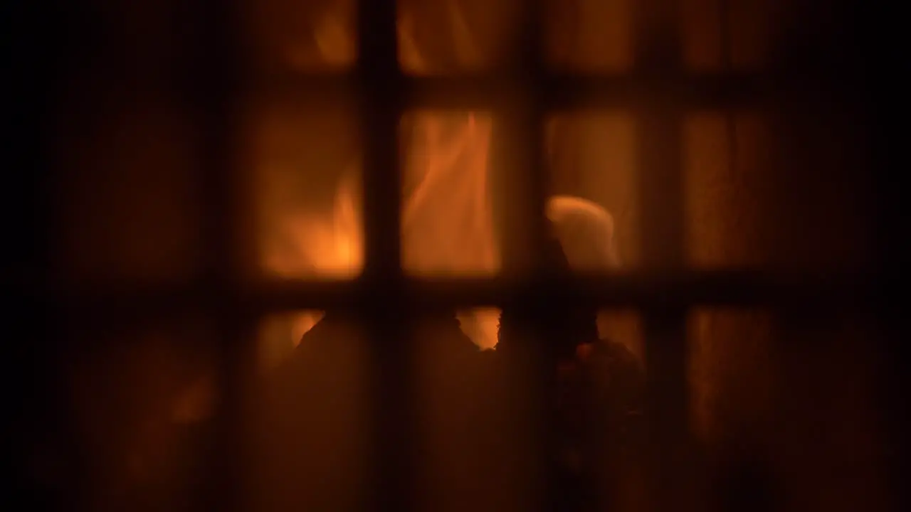 Firewood burning in Tile Stove Cockle behind the glass door