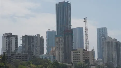 Flock Of Birds In Flight Over Buildings In Mumbai India