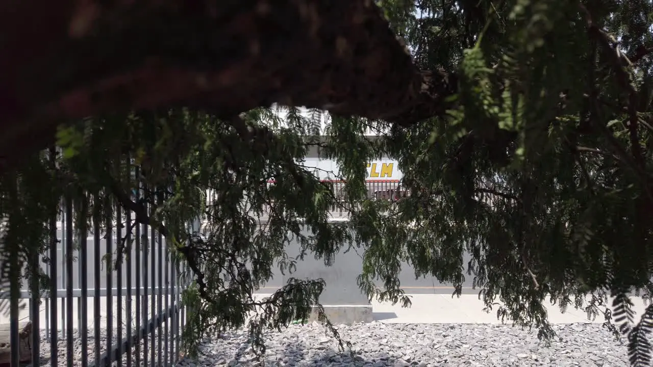 Tree on the sidewalk of an industrial park