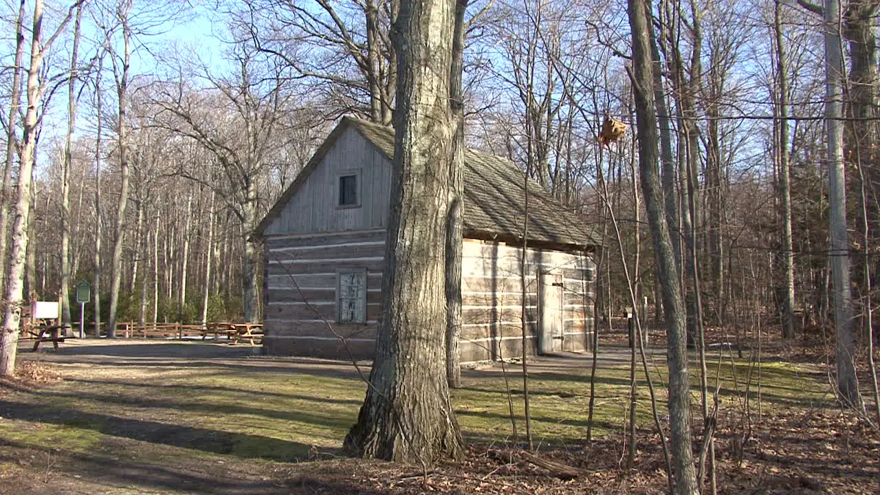 Michigan log cabin in woods