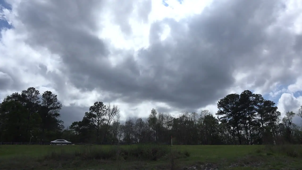 Georgia Okefenokee Dark Cloud Over Trees