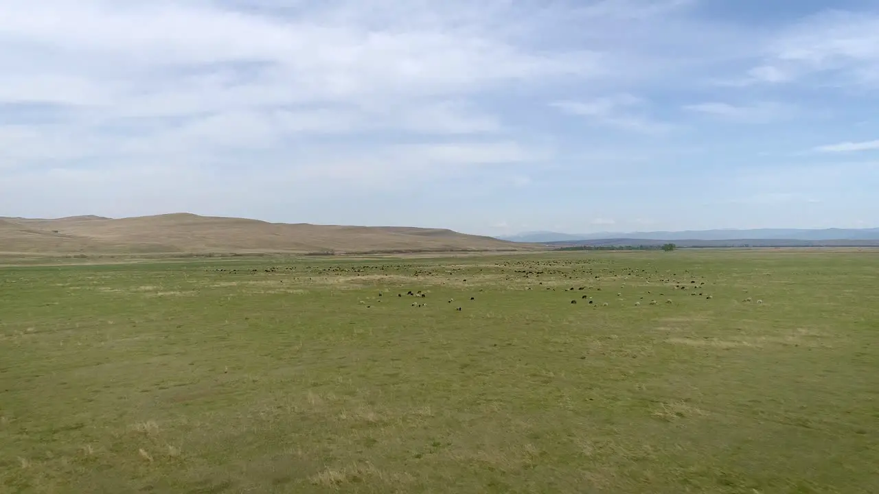 Flying Over the Steppe