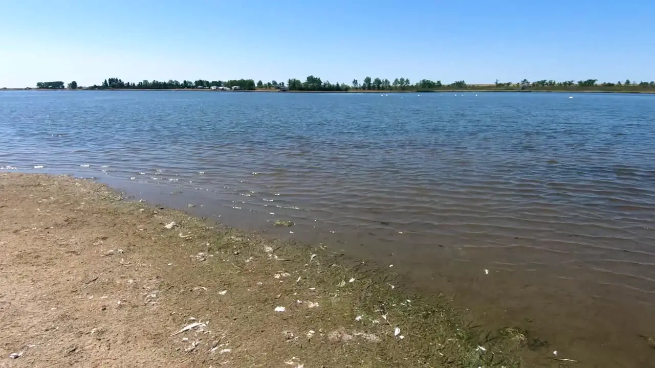 SLOW MOTION On a beach looking out at a beach on a sunny day near a small town in Alberta Canada