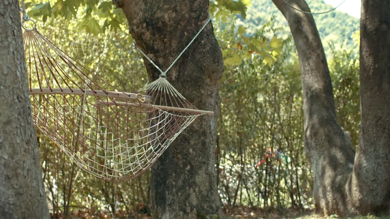 Calm and Peaceful Hammock Swinging with Gentle Breezing Wind Hung between Trees in slowmo