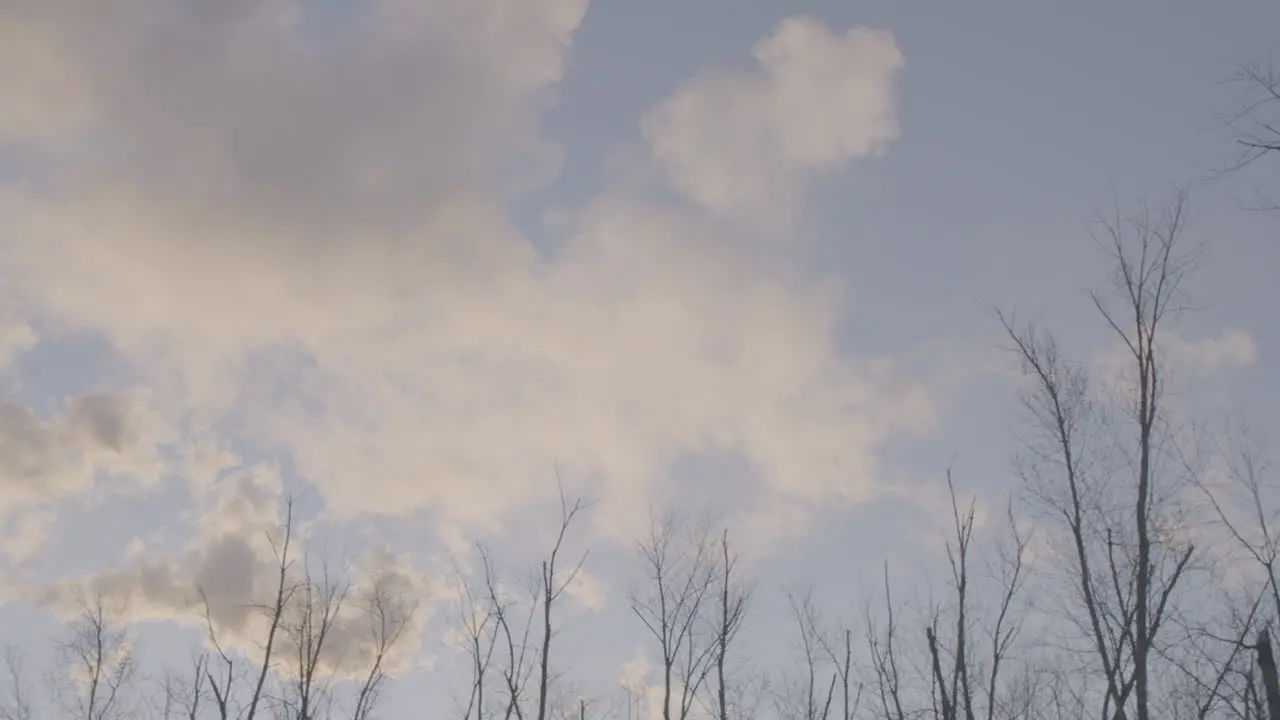 fall trees smoke and clouds in slo-mo