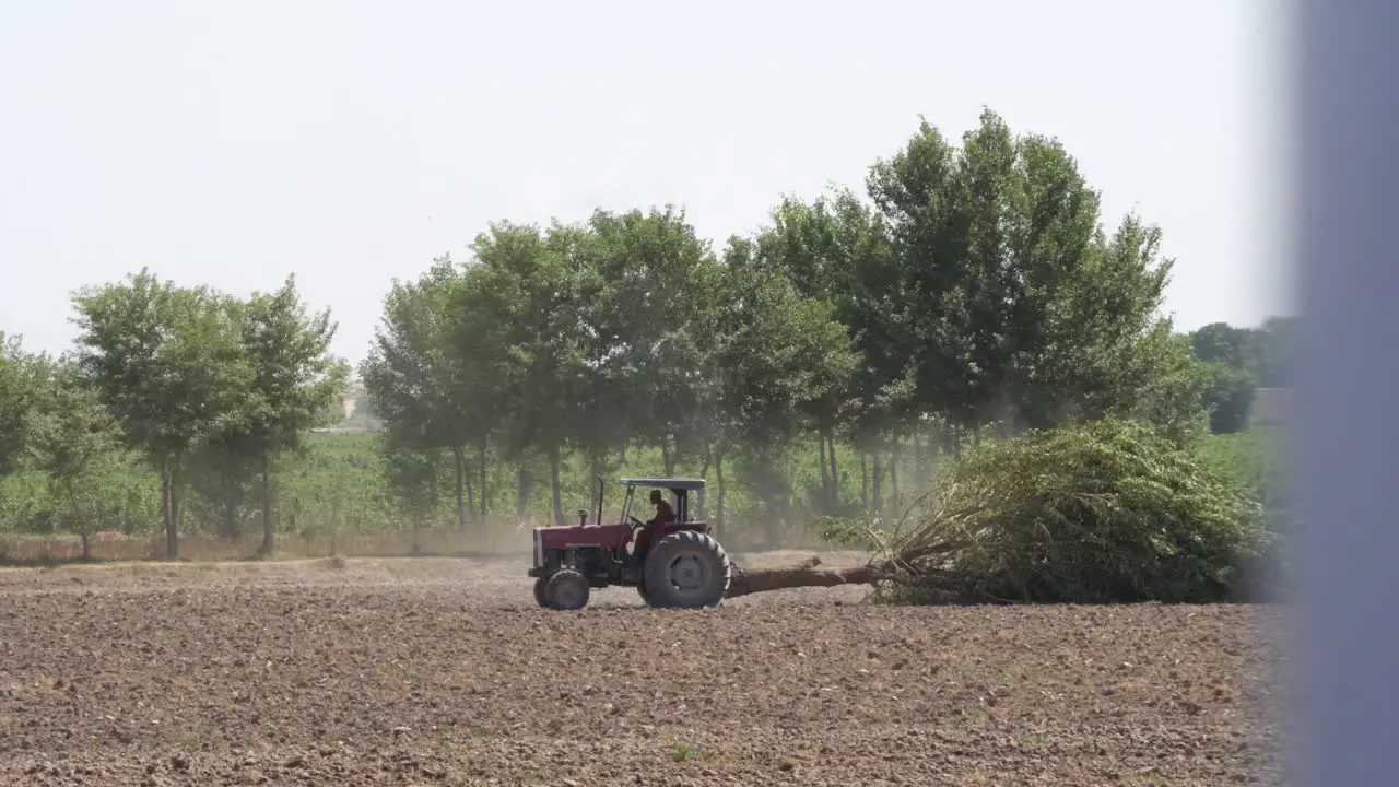 Tractor Pulling Tree Across Field In Punjab