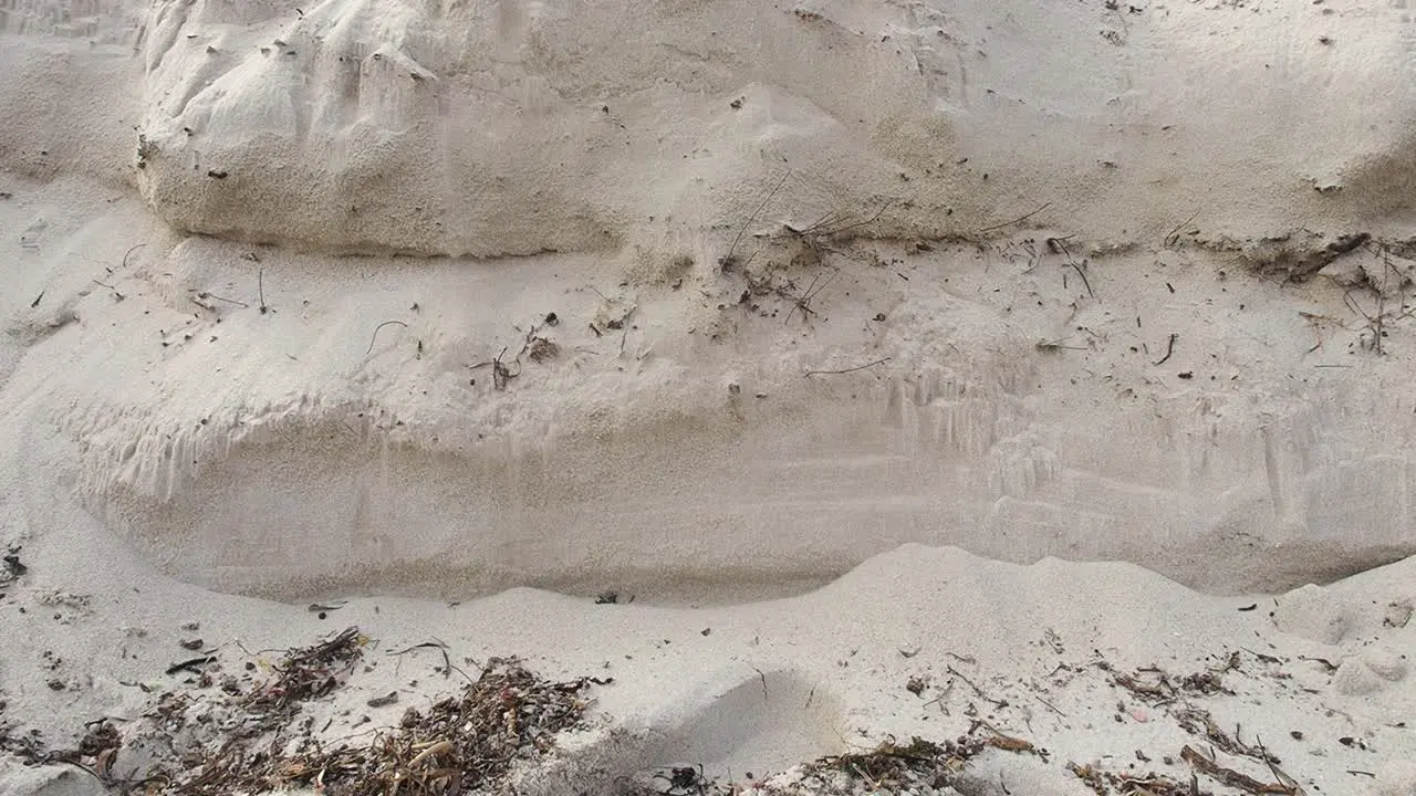 Steep beach sand bank collapses