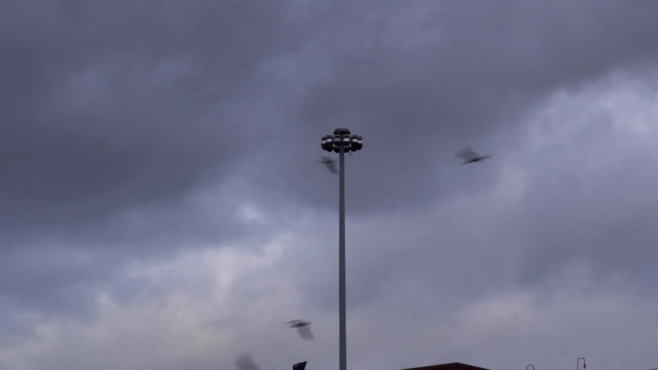 The Storm is approaching a light pole in the middle of the frame is shaking from the intense wind in slow motion