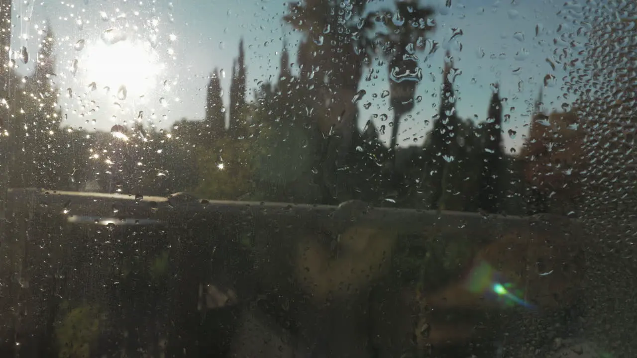 Morning condensation on the glass