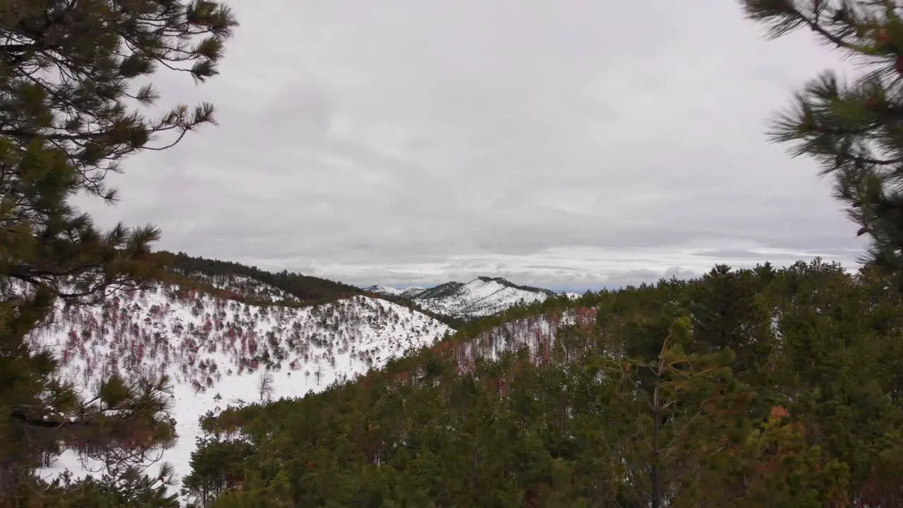 Flying Between Trees in the Snowy Mountains