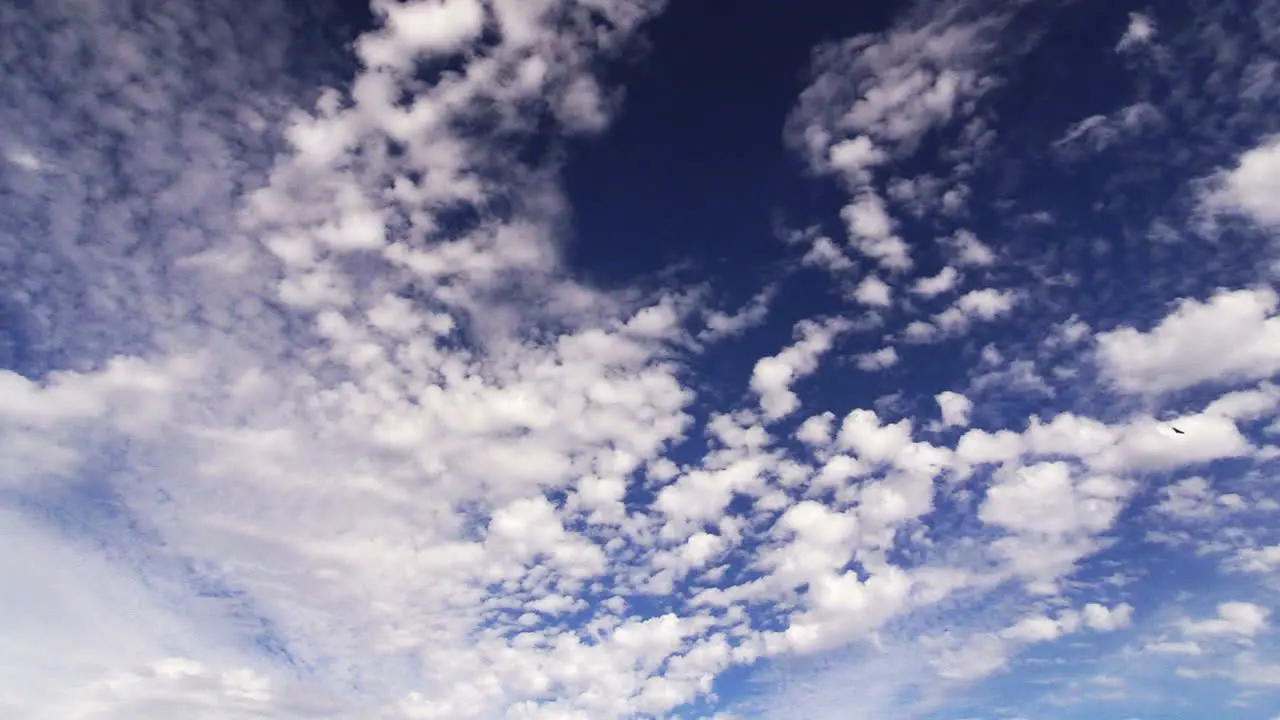 Florida Clouds In Blue Sky Time Lapse