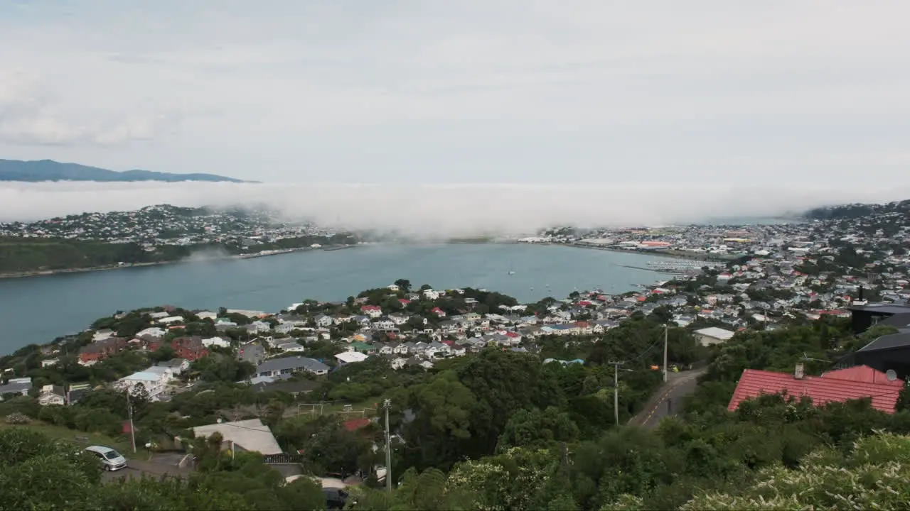 Thick fog drifts over Wellington International Airport New Zealand