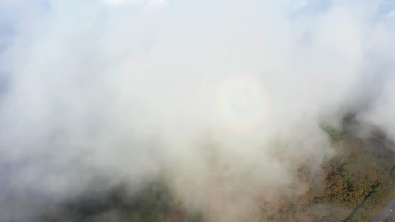 Flying into mist cloud aerial