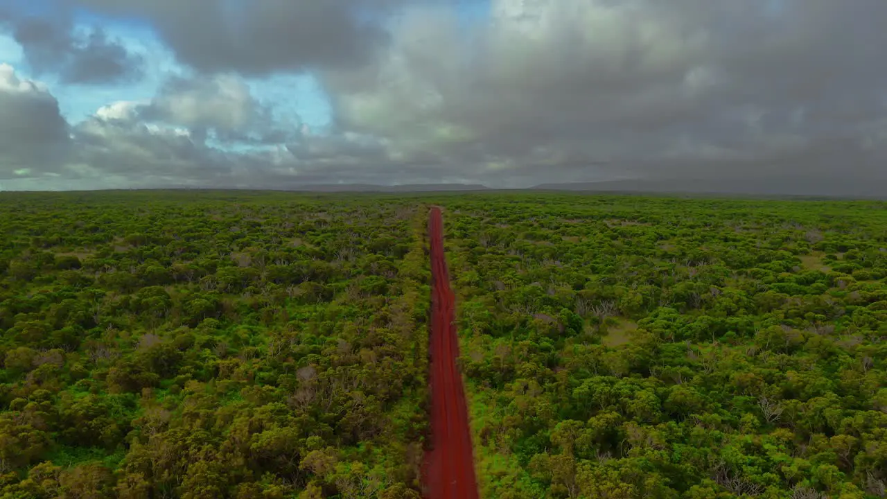 Fly over a red dirt pathway in a dry forest during a cloudy day