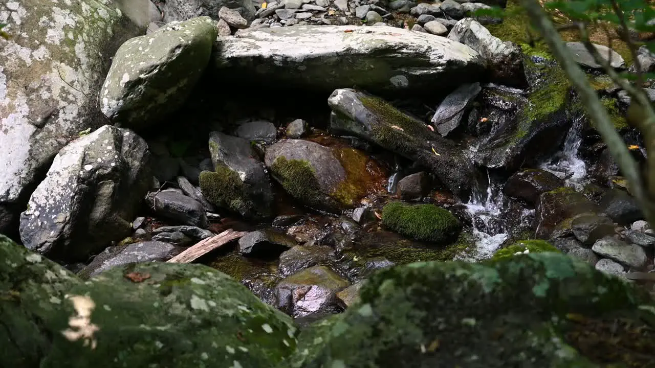 Water flowing through river rocks on a hike Slowmo